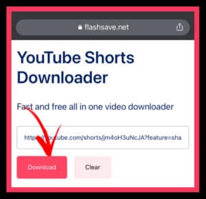 Masukkan URL Video di situs web kami dan klik opsi Unduh.